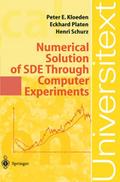 Numerical Solution of SDE Throught Computer Experi