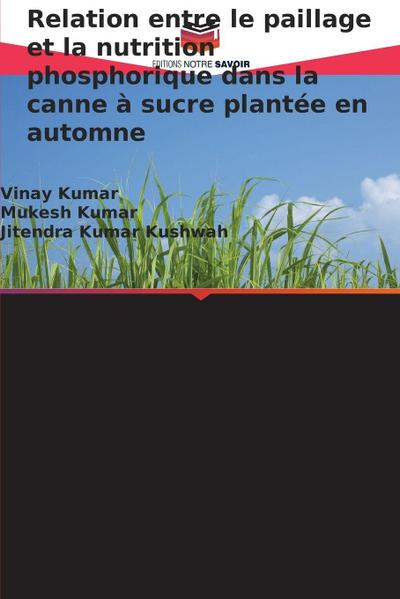 Relation entre le paillage et la nutrition phosphorique dans la canne à sucre plantée en automne