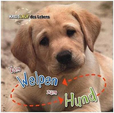 Vom Welpen zum Hund. Kreislauf des Lebens