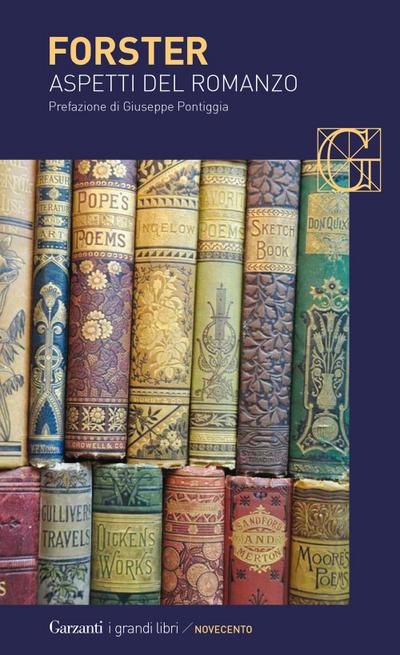 Aspetti del romanzo