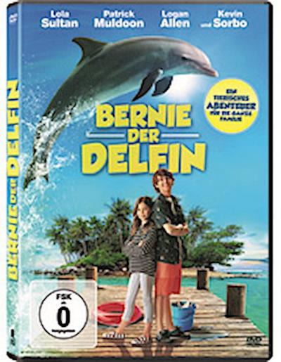 Bernie, der Delfin