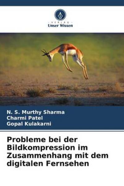 Probleme bei der Bildkompression im Zusammenhang mit dem digitalen Fernsehen