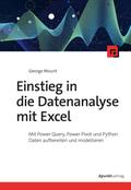 Einstieg in die Datenanalyse mit Excel
