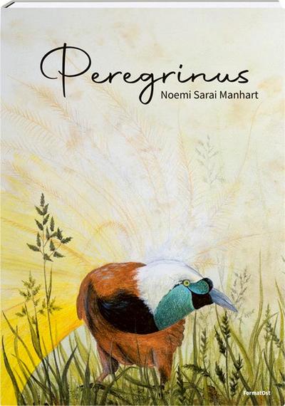 Peregrinus