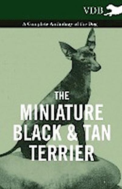 The Miniature Black and Tan Terrier - A Complete Anthology of the Dog - Various