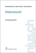 Patentrecht, Entwicklungen 2013