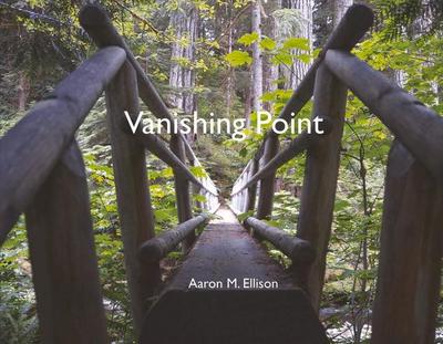 Vanishing Point: Volume 1