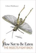 How Not to Be Eaten