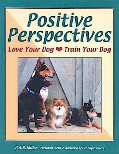 Positive Perspectives