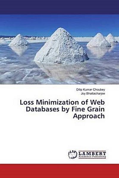 Loss Minimization of Web Databases by Fine Grain Approach