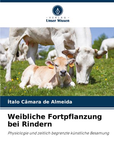 Weibliche Fortpflanzung bei Rindern