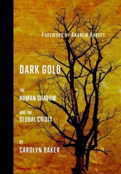 Dark Gold: The Human Shadow and the Global Crisis