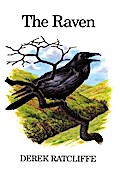 The Raven