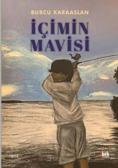 Icimin Mavisi