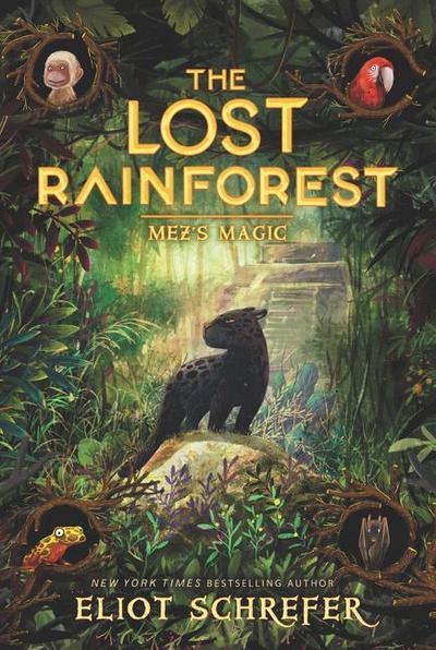The Lost Rainforest: Mez’s Magic