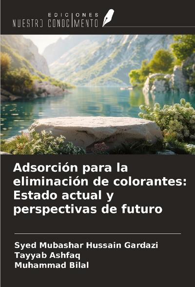 Adsorción para la eliminación de colorantes: Estado actual y perspectivas de futuro