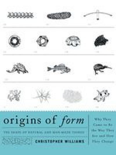 Origins of Form