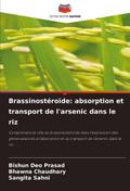 Brassinostéroïde: absorption et transport de l’arsenic dans le riz