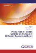 Production of Silicon Carbide and Silicon in Different Gas Atmospheres