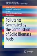 Pollutants Generated by the Combustion of Solid Bi
