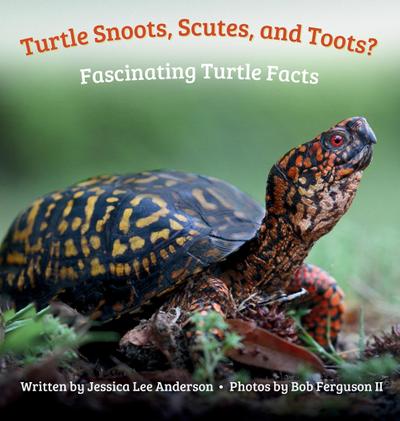 Turtle Snoots, Scutes, and Toots? Fascinating Turtle Facts