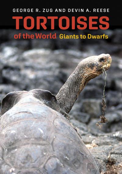 Tortoises of the World