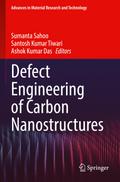 Defect Engineering of Carbon Nanostructures