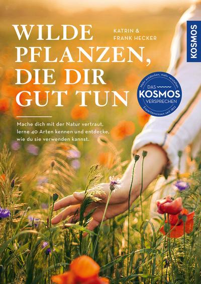 Wilde Pflanzen, die dir gut tun