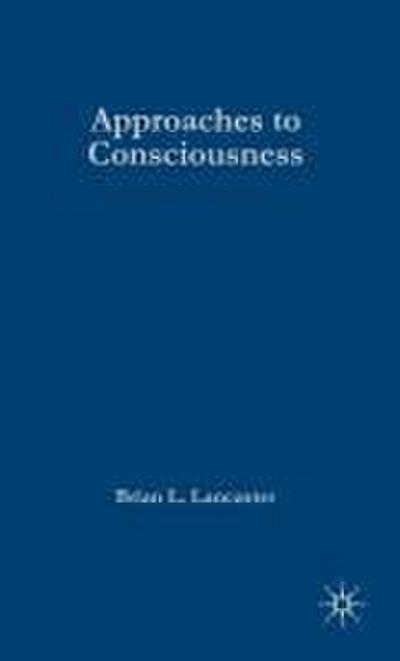 Approaches to Consciousness
