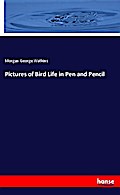 Pictures of Bird Life in Pen and Pencil