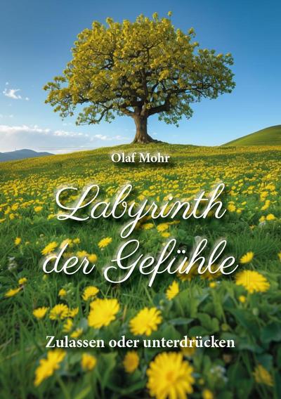 Mohr, O: Labyrinth der Gefühle