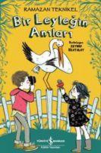 Bir Leylegin Anilari