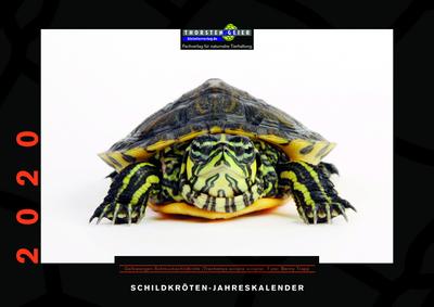 Schildkröten-Jahreskalender 2020
