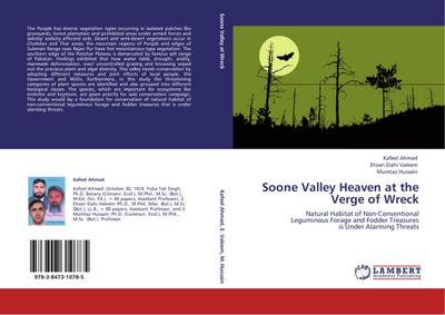 Soone Valley Heaven at the Verge of Wreck