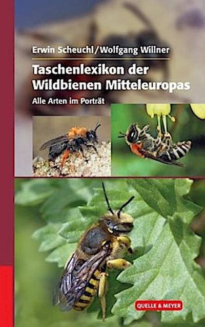 Taschenlexikon der Wildbienen Mitteleuropas