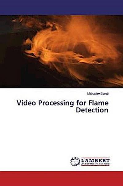 Video Processing for Flame Detection