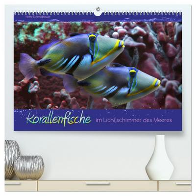 Korallenfische im Lichtschimmer des Meeres (hochwertiger Premium Wandkalender 2024 DIN A2 quer), Kunstdruck in Hochglanz