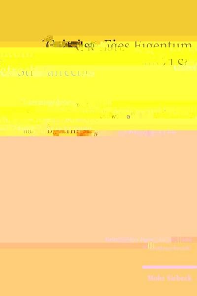 Geistiges Eigentum und Strafrecht