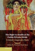 Right to Health at the Public/Private Divide
