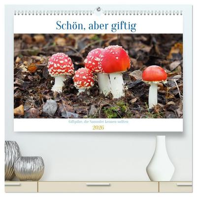Schön, aber giftig. Giftpilze, die Sammler kennen sollten. (hochwertiger Premium Wandkalender 2026 DIN A2 quer), Kunstdruck in Hochglanz