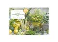 DuMonts Aromatische Kräuter 2027