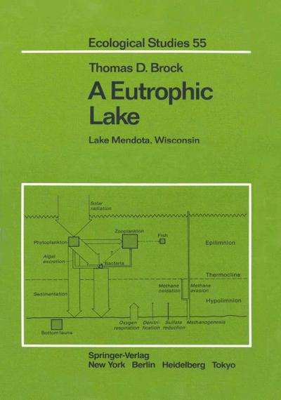 A Eutrophic Lake