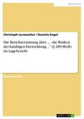 Die Berichterstattung über "...die Risiken der künftigen Entwicklung..." (§ 289 HGB) im Lagebericht