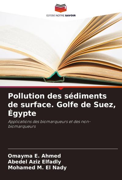 Pollution des sédiments de surface. Golfe de Suez, Égypte