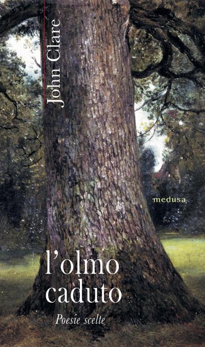L’ olmo caduto. Poesie scelte