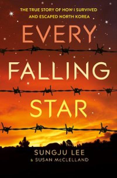 Every Falling Star