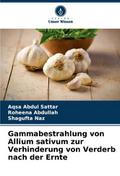 Gammabestrahlung von Allium sativum zur Verhinderu