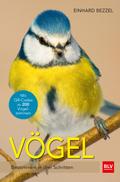 Vögel