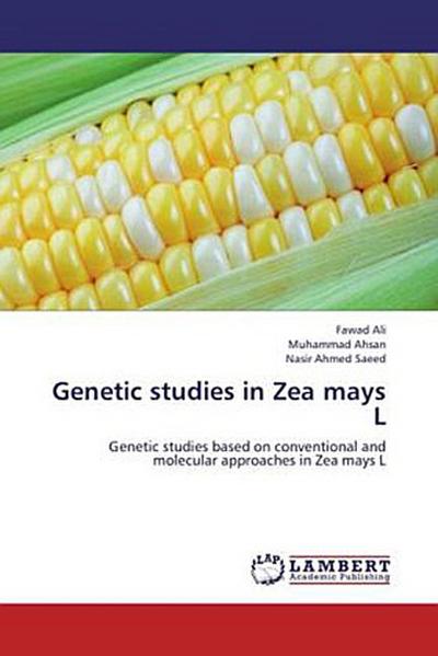 Genetic studies in Zea mays L