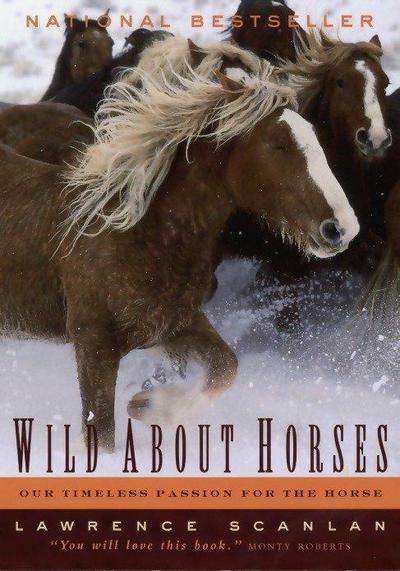 Wild about Horses
